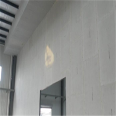 源城宁波ALC板|EPS加气板隔墙与混凝土整浇联接的实验研讨
